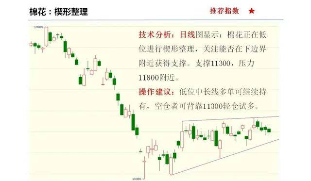 颜良观察今日胆码趋势微妙变化